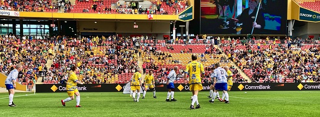 羅納爾多不 羅納爾多不