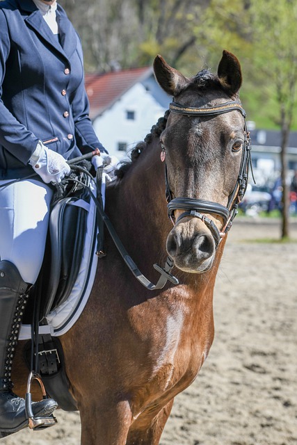 的不仅是他 的不仅是他