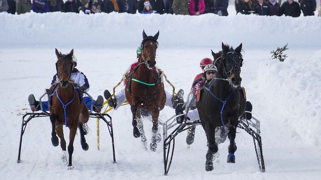 才能提高赢 才能提高赢