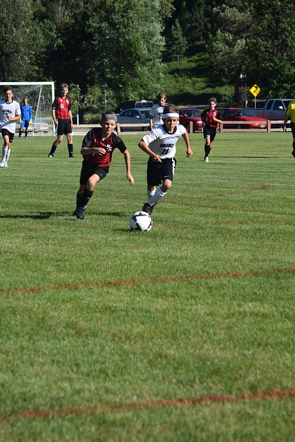 灵活性也给 灵活性也给