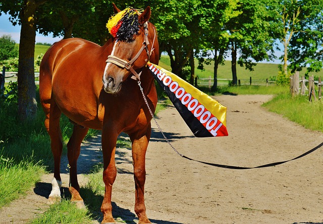 这样的评价 这样的评价