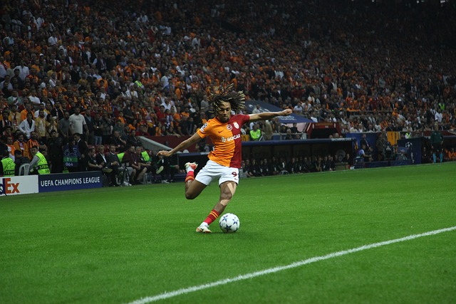 詹皇东契奇 詹皇东契奇