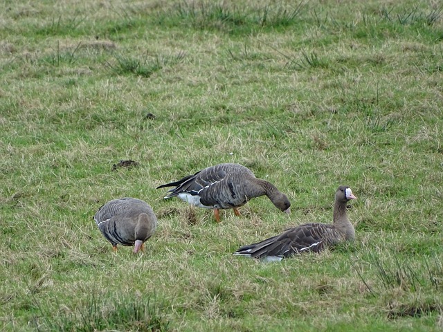 在多次交流 在多次交流