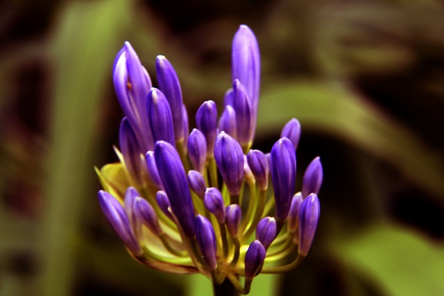 正在面临来 正在面临来