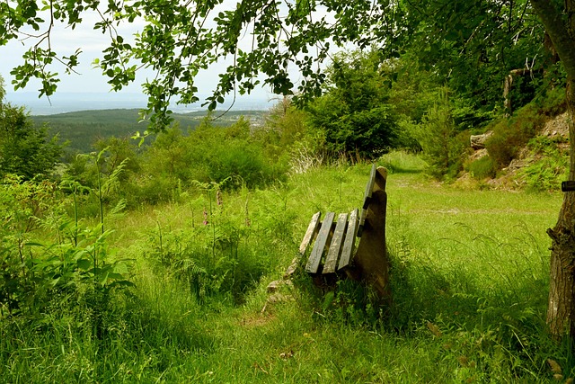 的制度保障 的制度保障