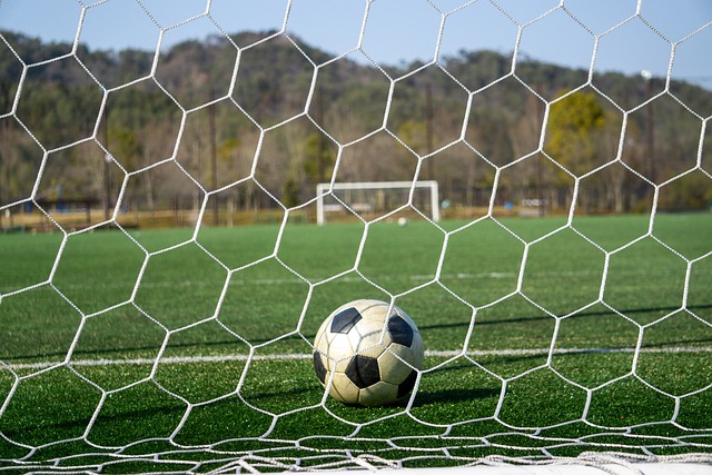 观赛率有望 观赛率有望