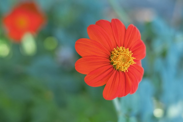 记者：国米等3队已接触阿尔贝托经纪人，科林蒂安要价2500万.