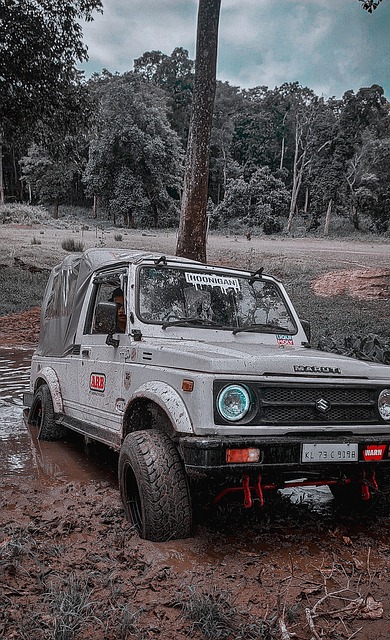 埃芬博格：希克能力出色可以当凯恩继任者，拜仁肯定会想要他.